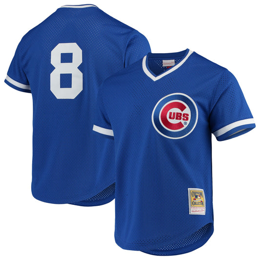 Andre Dawson Chicago Cubs Mitchell & Ness Cooperstown Collection Mesh Batting Practice Jersey - Royal